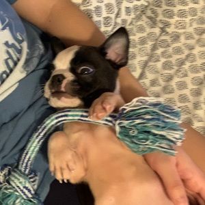 Meet your Posher, Maria